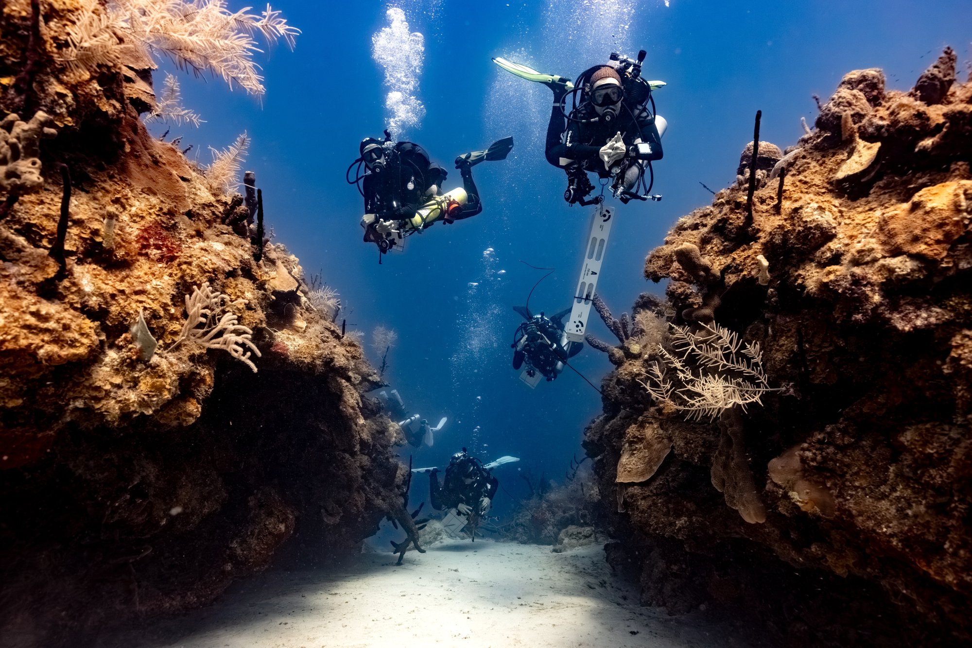 TCRMP team conducting reef surveys